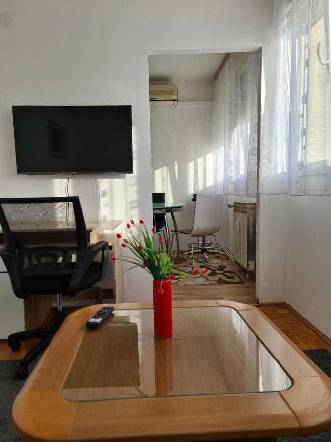 Apartman U Velikoj Gorici Zeljko Velika Gorica Εξωτερικό φωτογραφία