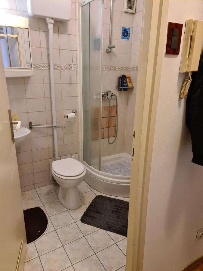 Apartman U Velikoj Gorici Zeljko Velika Gorica Εξωτερικό φωτογραφία